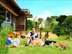『ねこあつめの家』2017年4月8日ロードショー 出演/伊藤淳史、忽那汐里ほか 原作・原案/ ねこあつめ(Hit-Point)(c)2017 Hit-Point/『映画ねこあつめ』製作委員会