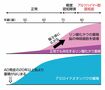 アミロイドβとリン酸化タウはAD発症に密接に関係している(監修/徳田隆彦教授 図/スヤマミヅホ)