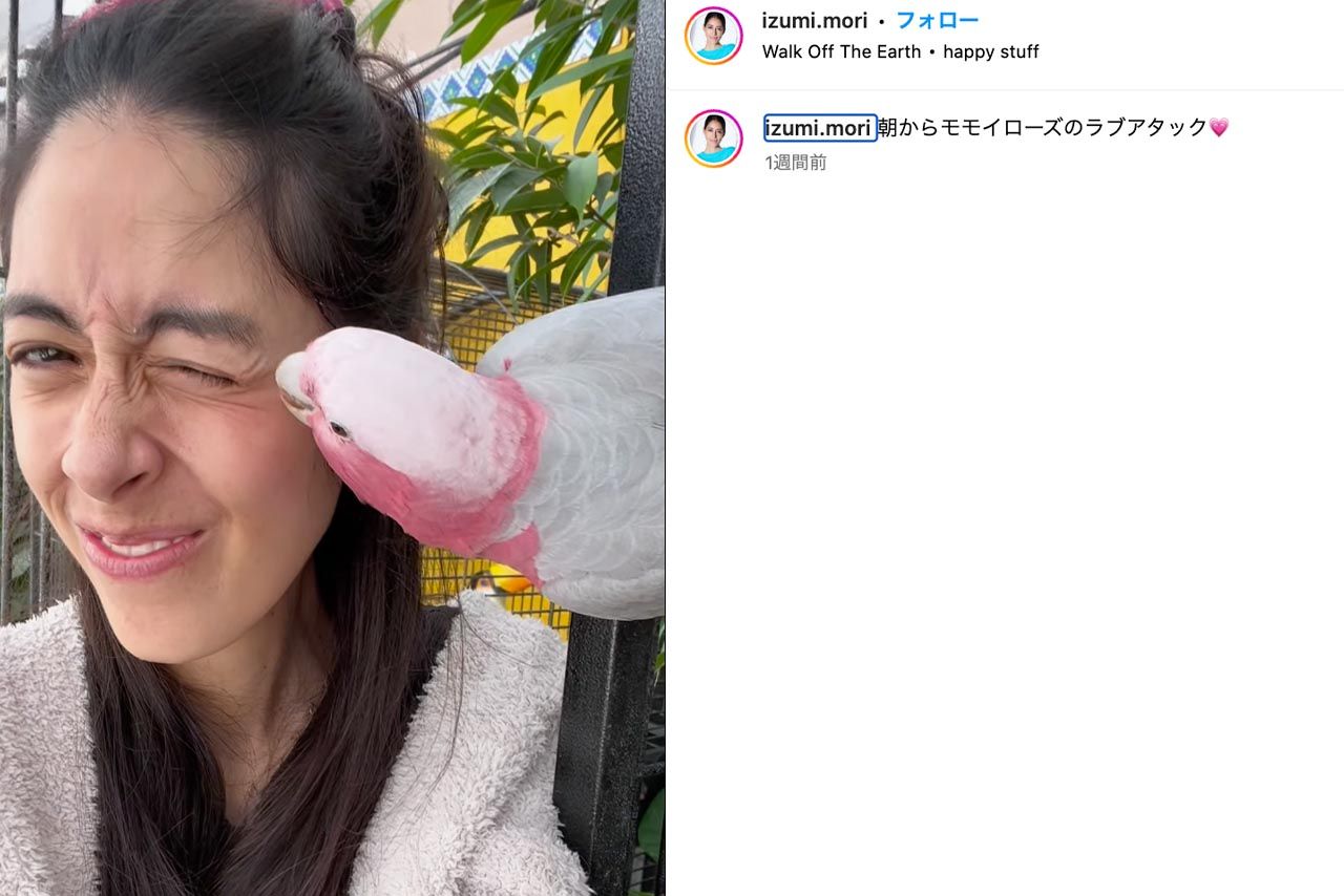 モモイロインコと触れ合う森泉（森泉公式Instagramより）
