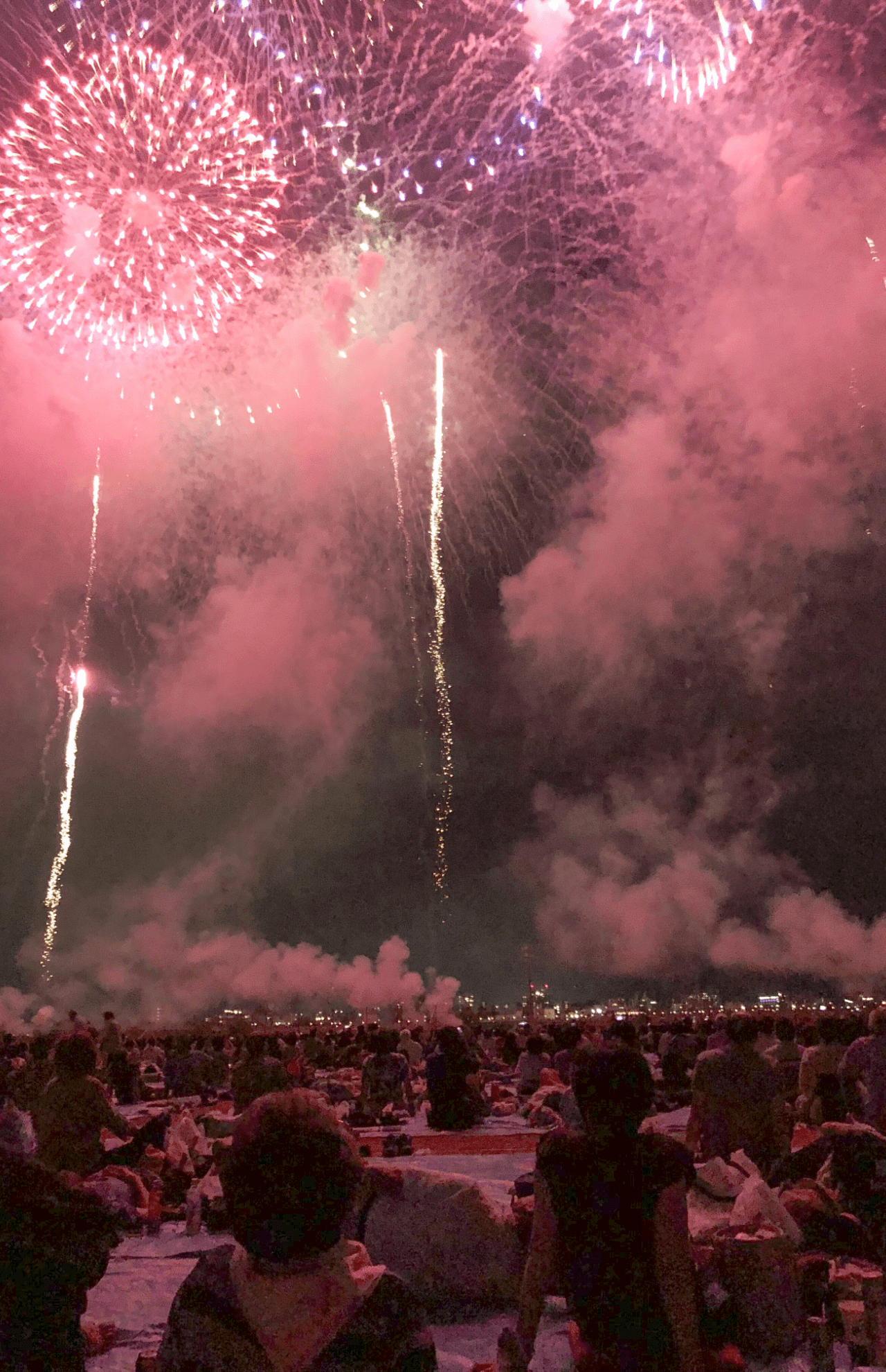 診断後３年目、長岡の花火大会へ。どーんという衝撃を河原に並んで父母娘の3人で味わった大事な思い出【