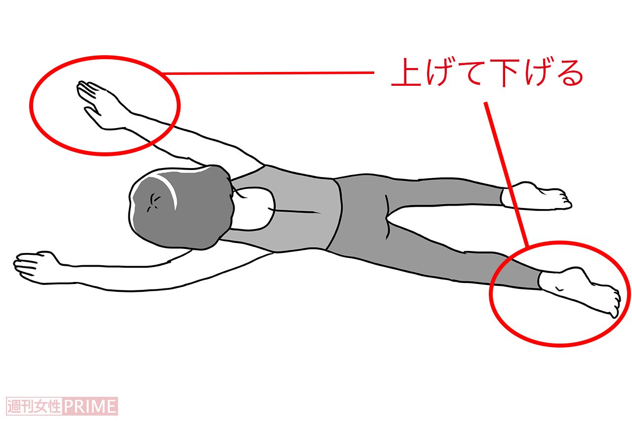 STEP3：スロースイミングの俯瞰図　イラスト／赤松かおり