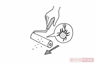 イラスト／武曽宏幸