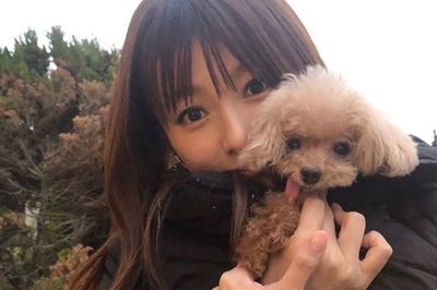 深田恭子&手越祐也、愛犬が“きょうだい”同士だった! 真相を直撃