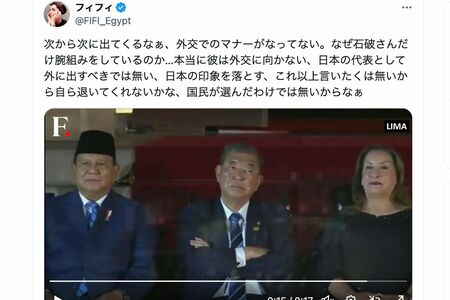 石破茂首相のひとり腕組みにフィフィも苦言（フィフィのXより）