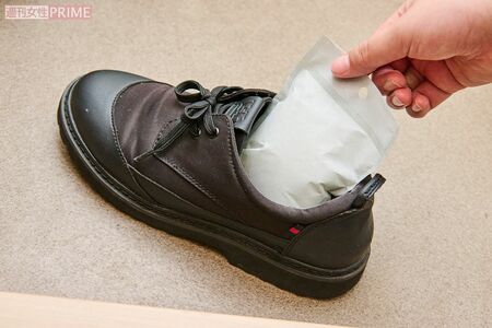 靴にサッと入れるだけで湿気を吸収　撮影／山田智絵