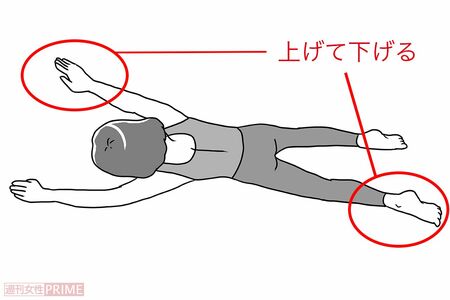 STEP3：スロースイミングの俯瞰図　イラスト／赤松かおり