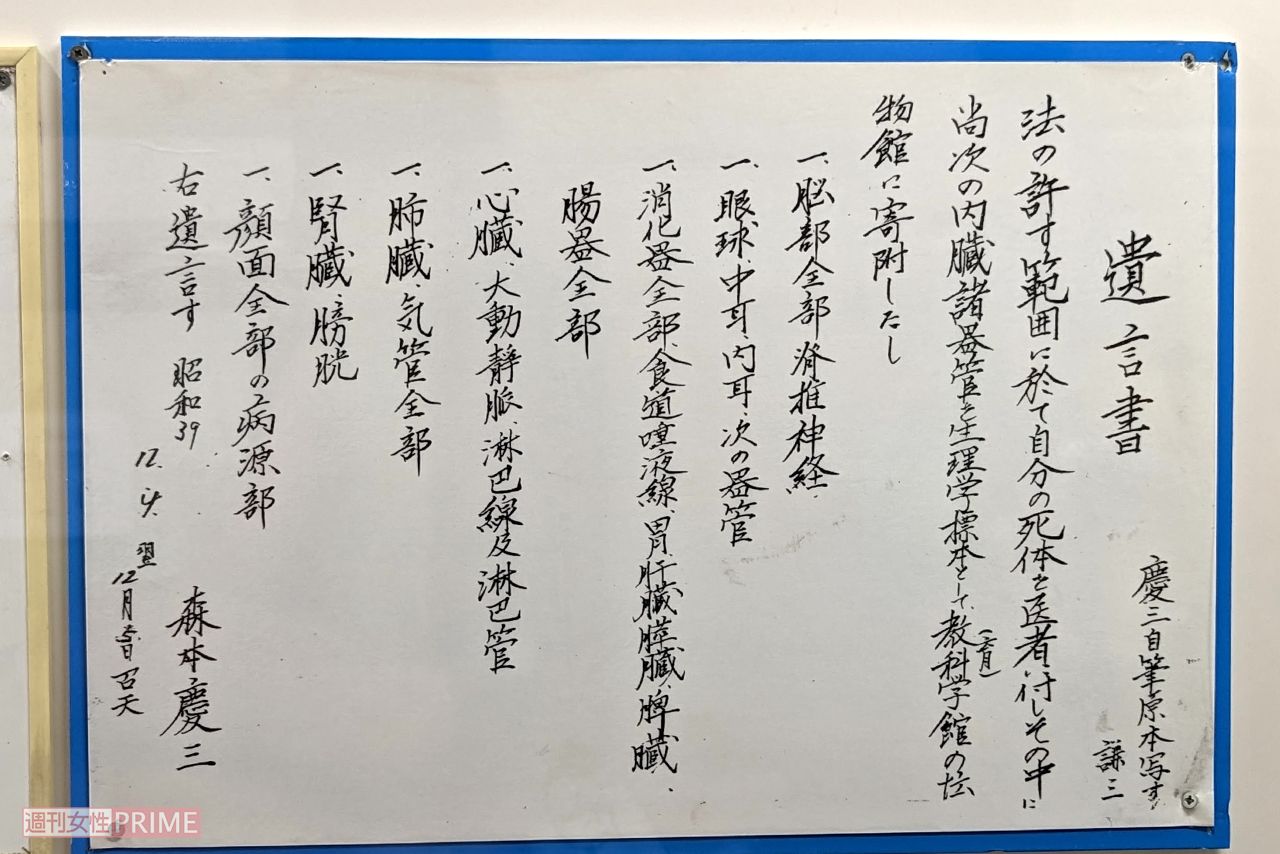 つやま自然のふしぎ館に展示されている初代館長の遺言書　撮影／編集部
