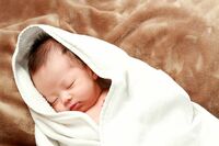 2020年、女性の2人に1人が50歳以上に　「未来の母親」が激減していく日本