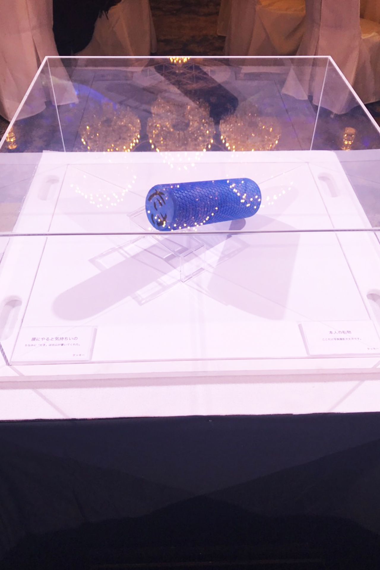 滝沢さん愛用のストレッチポール／筆者撮影