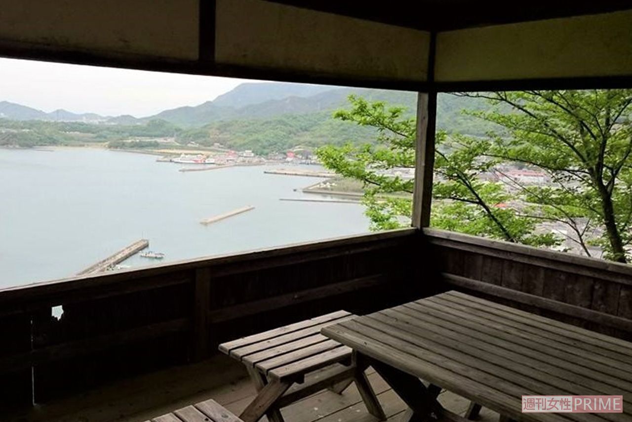 小豆島、『Nのために』で杉下希美（榮倉奈々）と成瀬慎司（窪田正孝）が将棋を打つシーンなどでたびたび登場した城山桜公園。