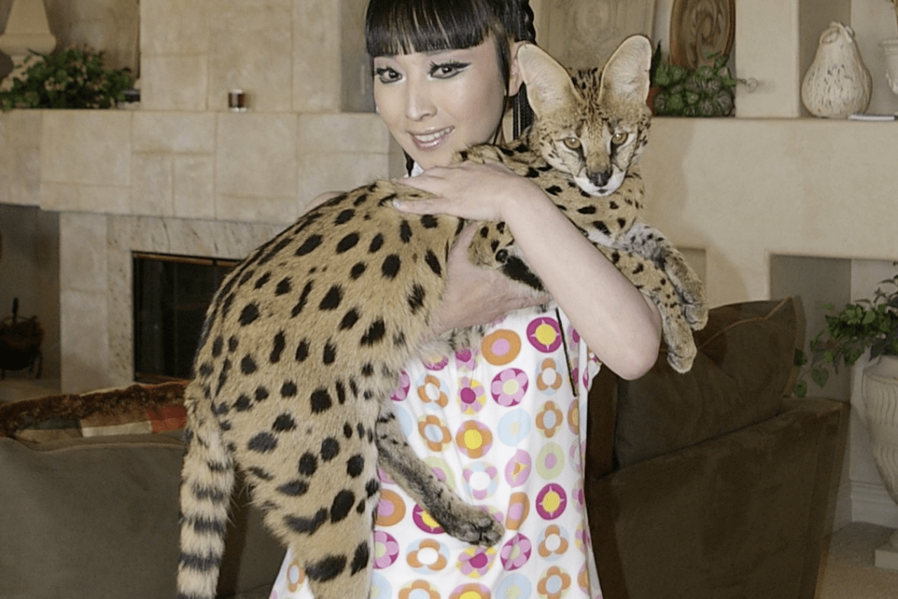 サーバルキャット、ホワイトタイガー、マウンテンライオン……。多種多様の動物を育ててきた