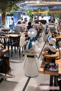 床にある黒いライン上をオリヒメDが行き来し、飲み物を運ぶ。テーブルの前を通過する際は手を上げるしぐさを見せ、操縦者が声をかけてくれる　撮影／齋藤周造