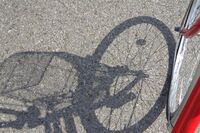 追い抜きざまにわいせつ行為!「週末の赤チャリ男」の“14か月で17人襲った”鬼畜過去