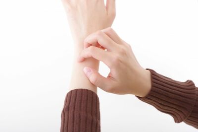 ※写真はイメージです