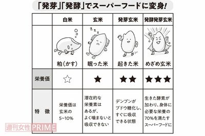 「発芽」「発酵」でスーパーフードに変身！　イラスト／おおつかさやか