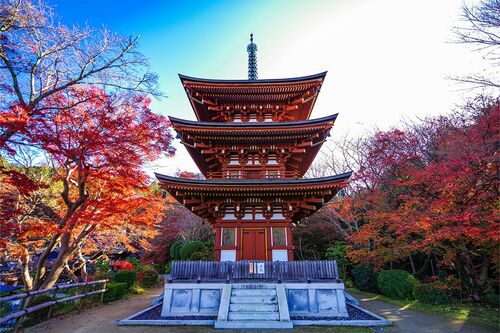 高さ15.4mの三重宝塔。塔の朱色と左右の紅葉が青空に映える