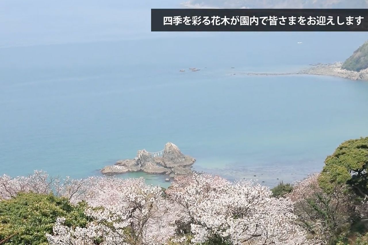 春には桜と海のコントラストも楽しめる（二見ヶ浦公園聖地公式サイトより）