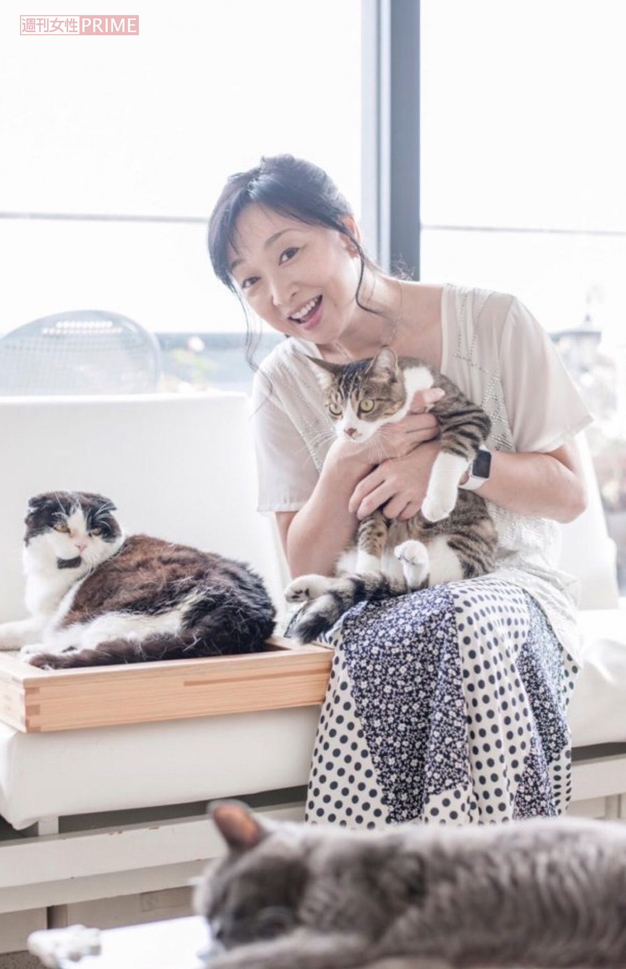 これまで5匹の猫を看取り、現在は2匹と暮らす