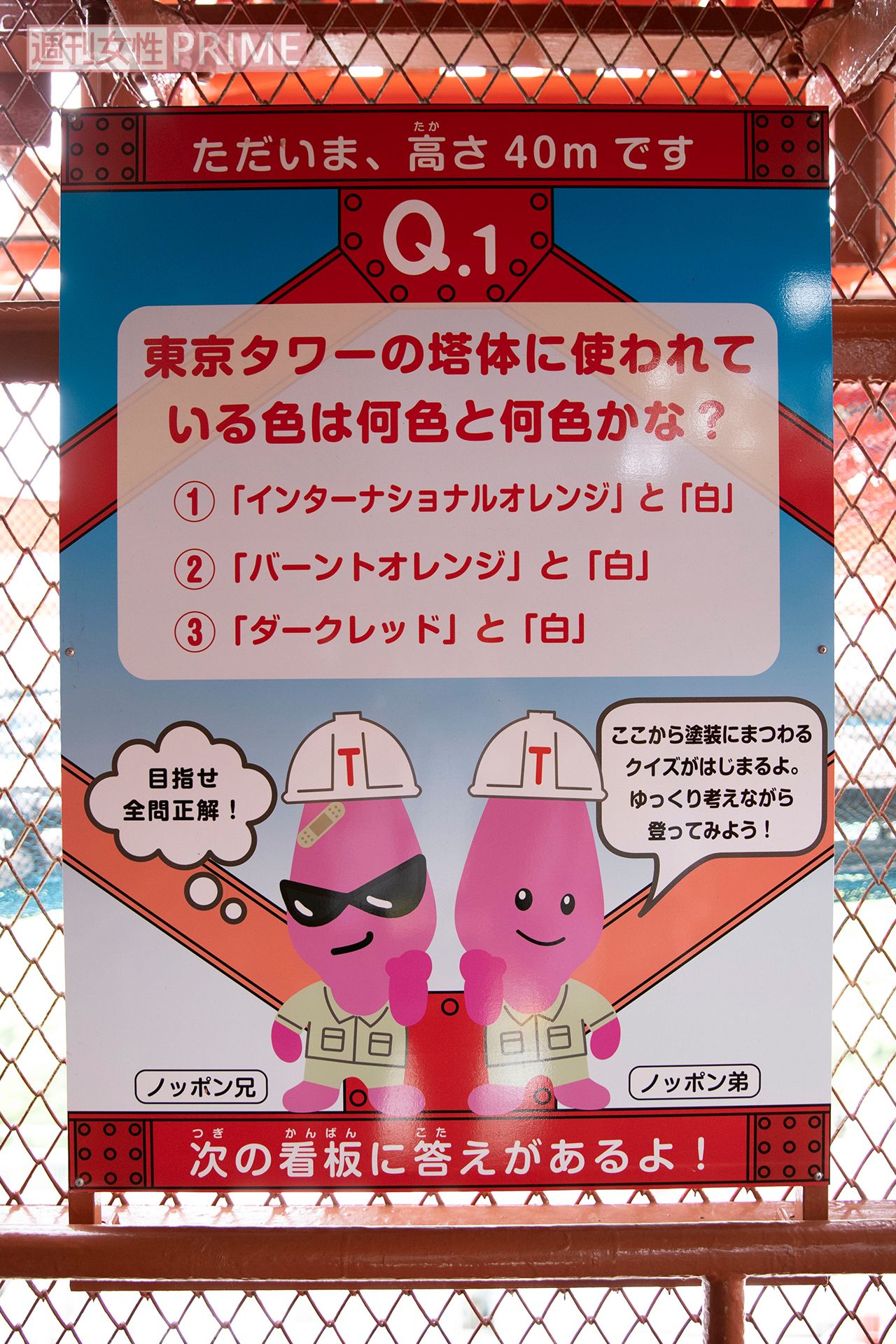 【100段】随所に親子で楽しめるクイズパネルを設置。上れば答えがわかる!　撮影／北村史成