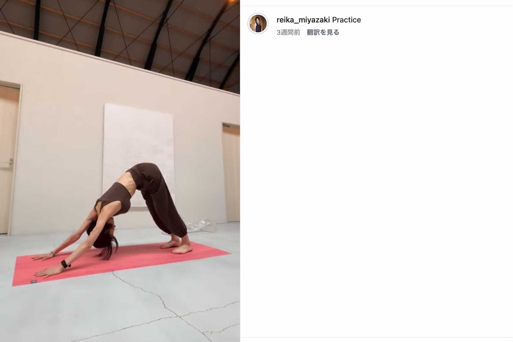 “激ヤセ”姿が話題になっている実業家でインフルエンサーの宮崎麗果こと黒木麗香（本人のインスタグラムより）