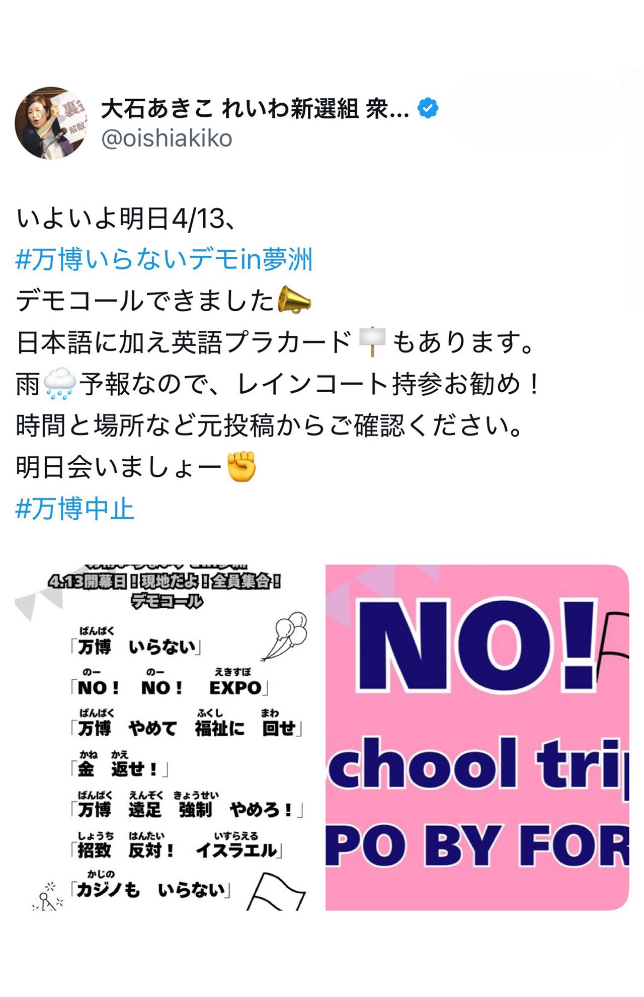 「万博いらないデモ」を呼びかける大石あきこ氏（本人Xより）