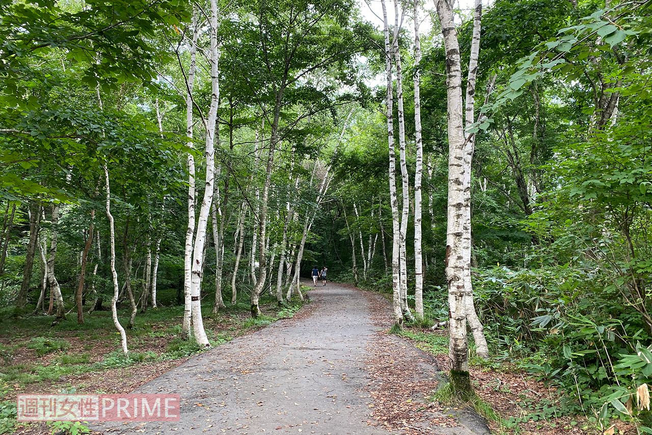 グリーンステージからホワイトステージに向かう道（'20年8月）