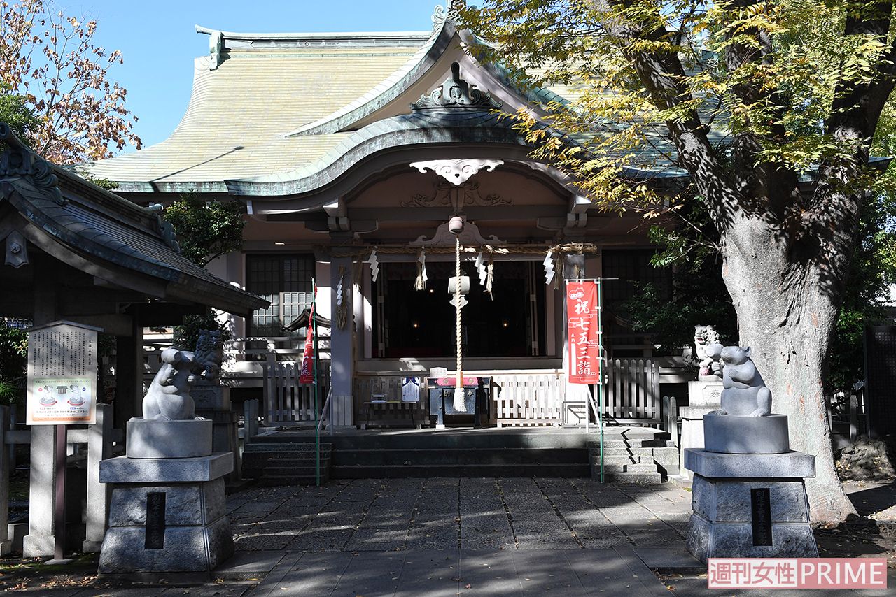 厳かな雰囲気の杉山神社社殿　撮影／渡邉智裕