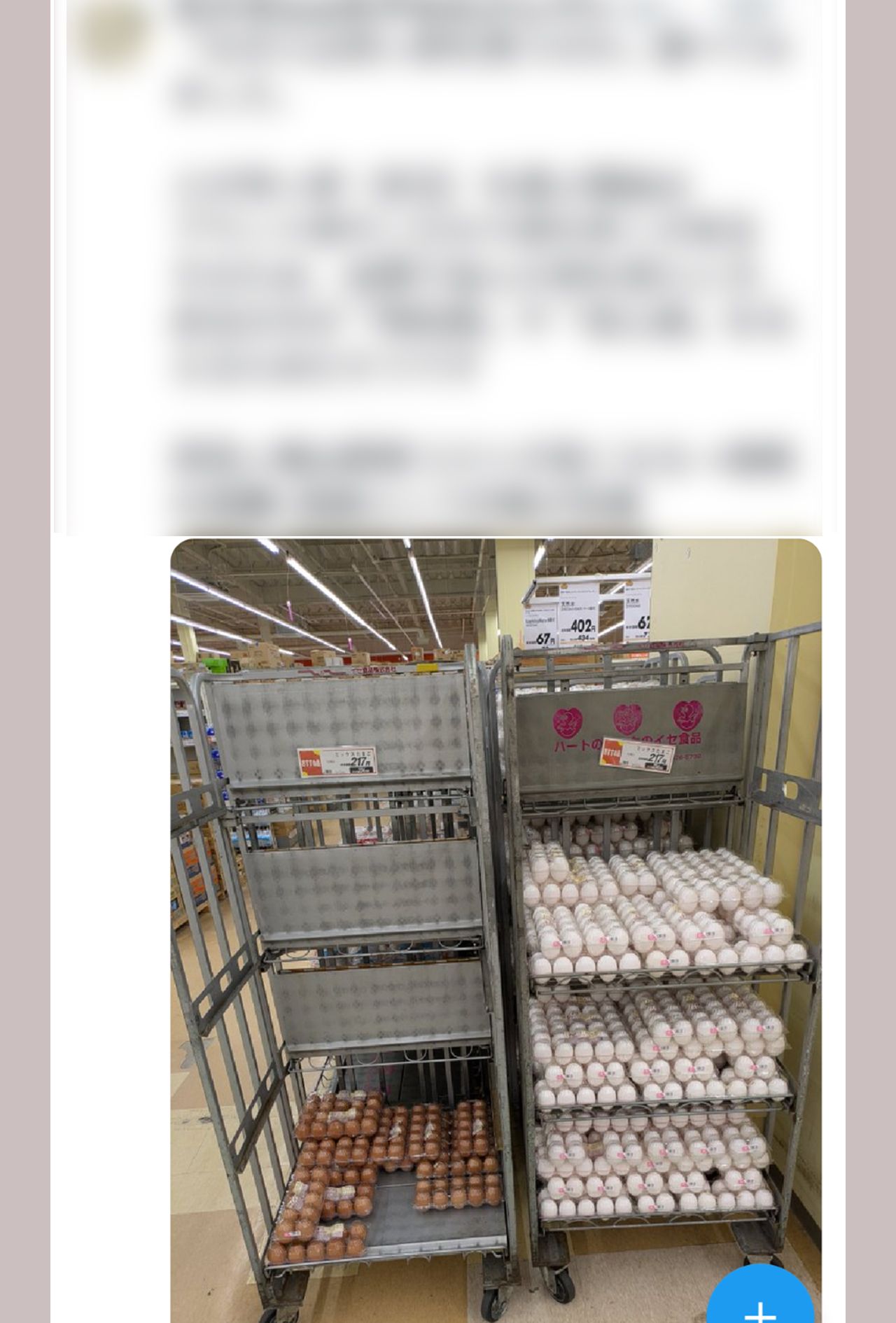 SNSで拡散された玉子の売り場画像
