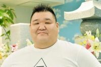 プロレスラー･若翔洋、日本人力士弱い訳｢稽古がソフトに｣