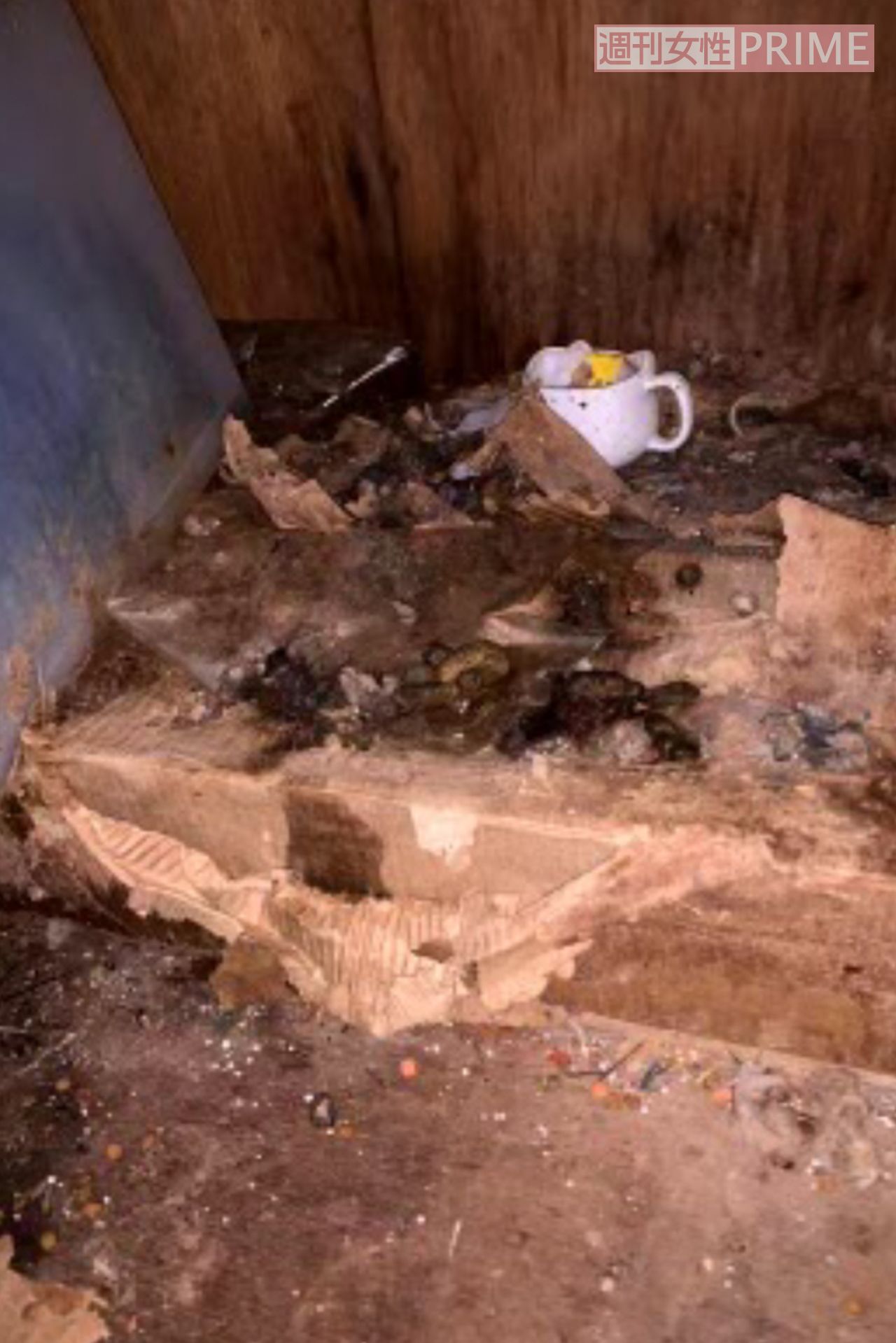糞も片づけられず山積みになっていた