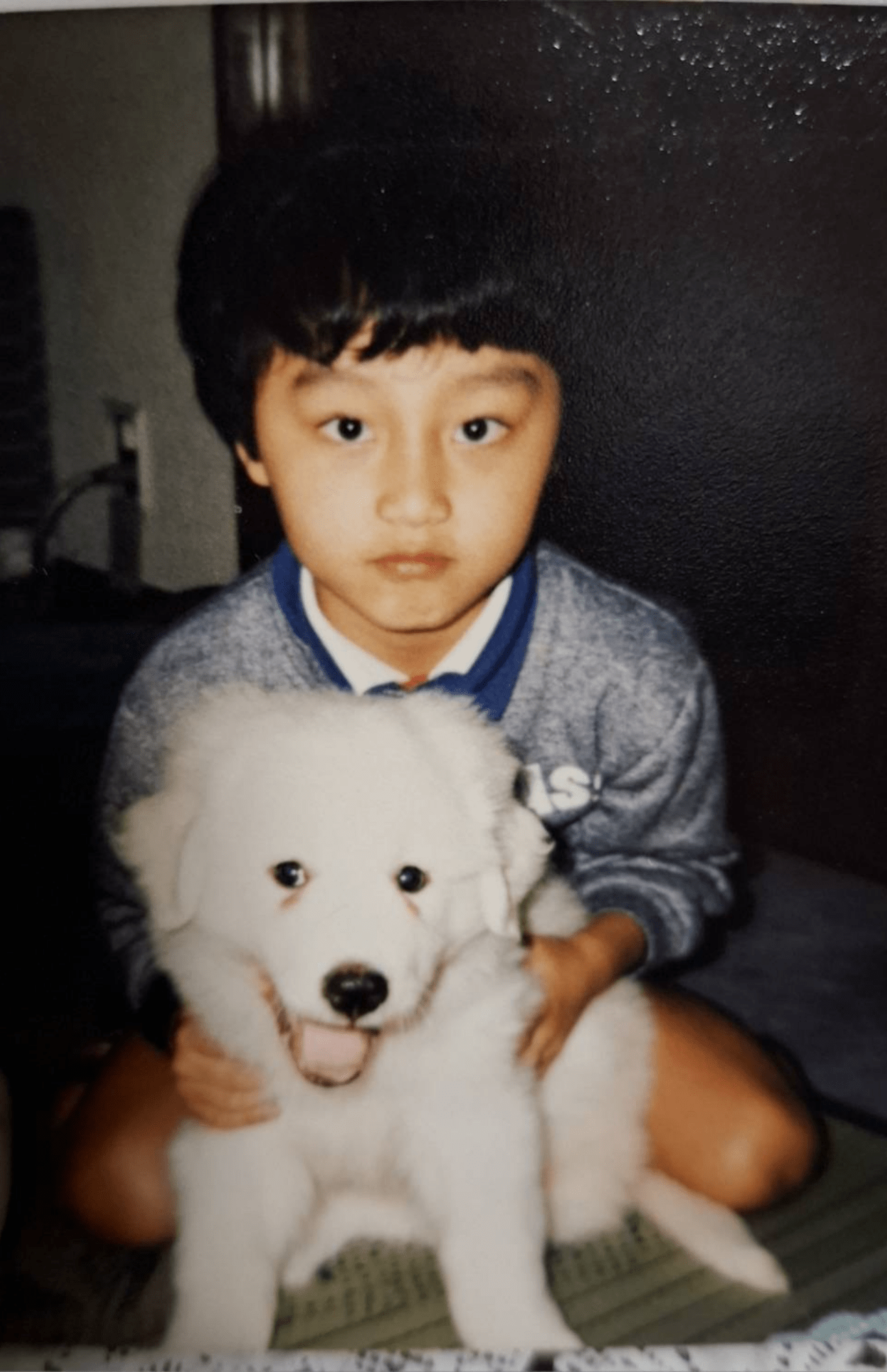 家で飼っていた愛犬の「ラブ」と