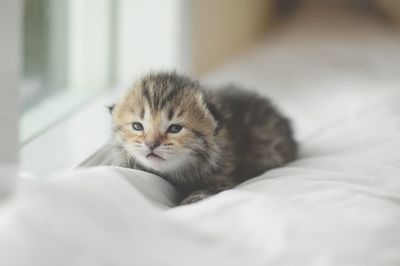 【心理診断】今、気になるあの人と恋の運気はどんな感じ？ 