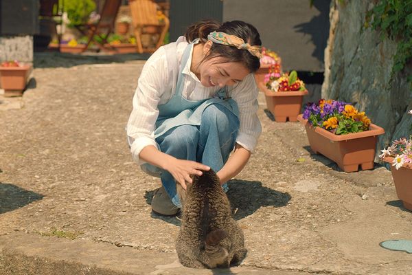 『ねことじいちゃん』2月22日（金）全国ロードショー
(C)2018「ねことじいちゃん」製作委員会
配給：クロックワークス