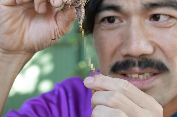 ※刺激が強すぎるため、モザイク加工を施しました