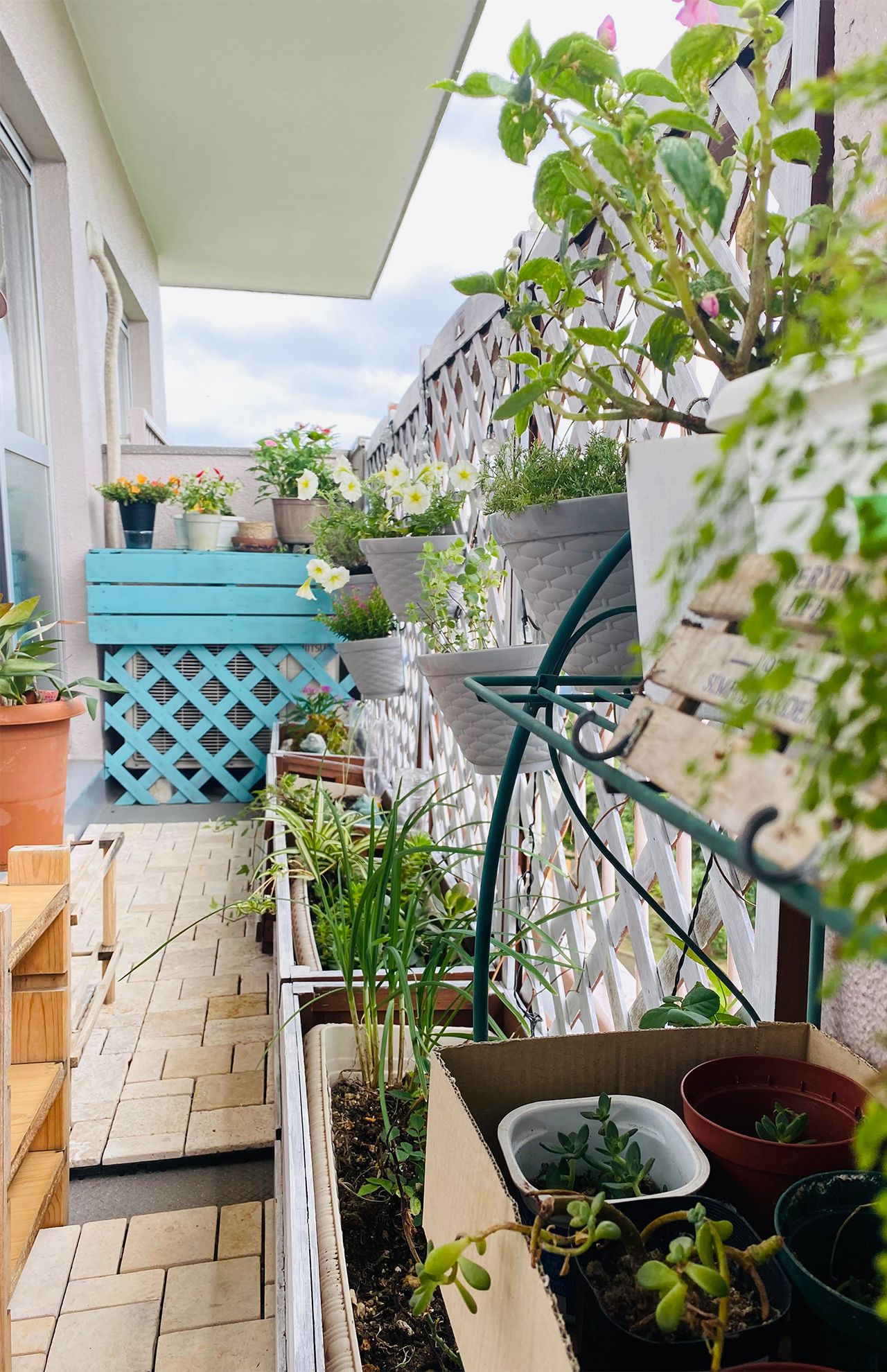 ベランダのガーデニング