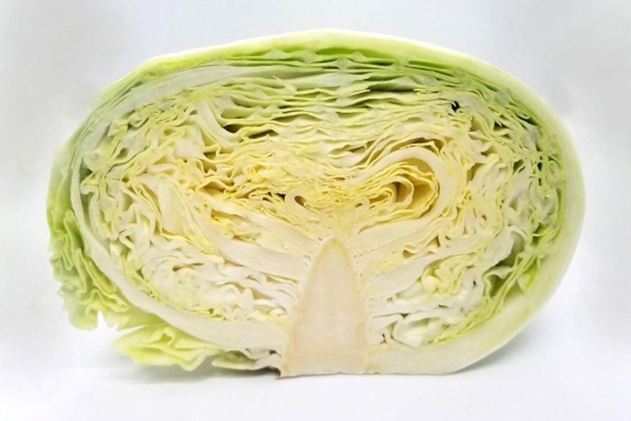 ※写真はイメージです