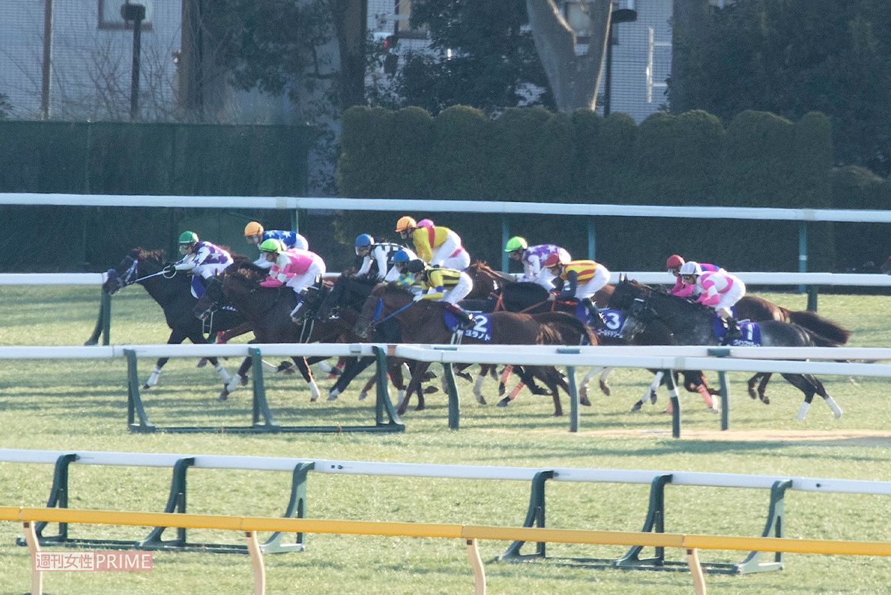 スマホ使用で処分が相次ぐ競馬界（写真はイメージです）
