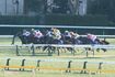 スマホ使用で処分が相次ぐ競馬界(写真はイメージです)