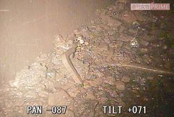 2号機の原子炉格納器の底付近には、溶け落ちたデブリとみられる堆積物が　写真提供／東京電力