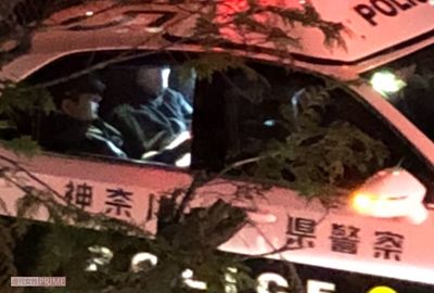 「殴る、蹴る、熱湯かける」実父は直後死亡! “酸っぱいにおいのドンキおばさん”の素性