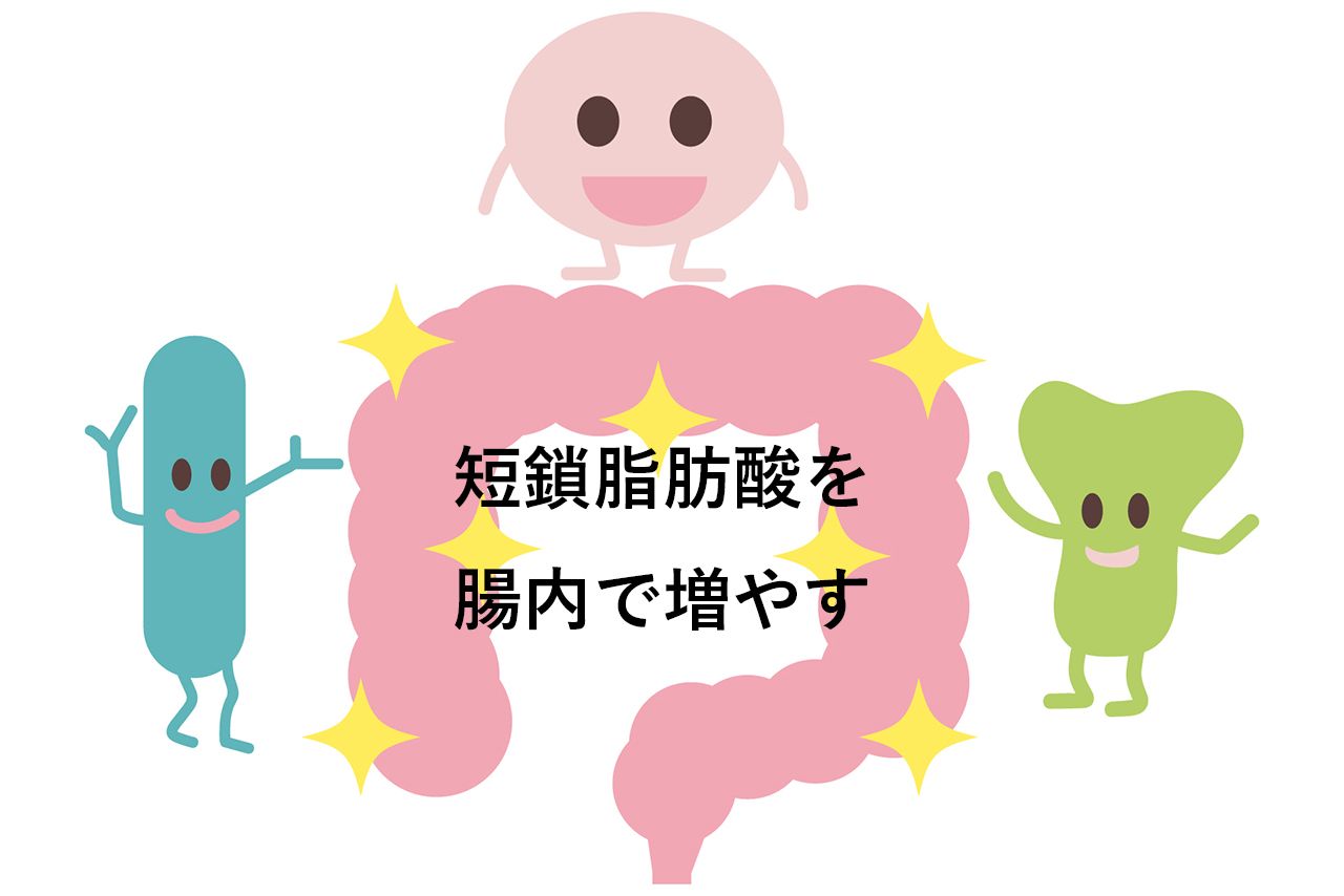 食物繊維などをエサに、ビフィズス菌や酪酸菌などの有益な腸内細菌から短鎖脂肪酸が産生。腸内を弱酸性に保ったり、肝臓での脂質合成を抑制するなどの働きも期待できる　※写真はイメージです