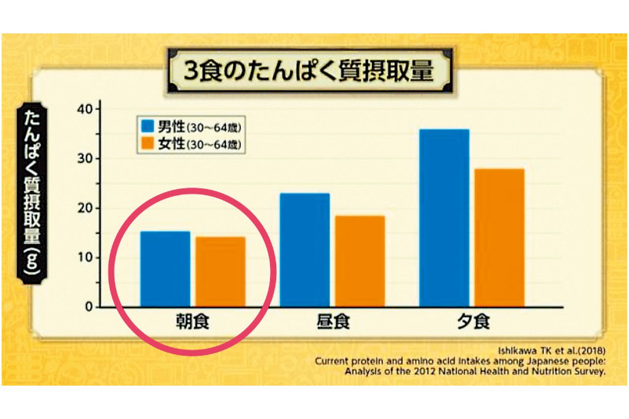 3食のたんぱく質摂取量の男女別データ。日本人は朝食時の摂取量が最も少ない