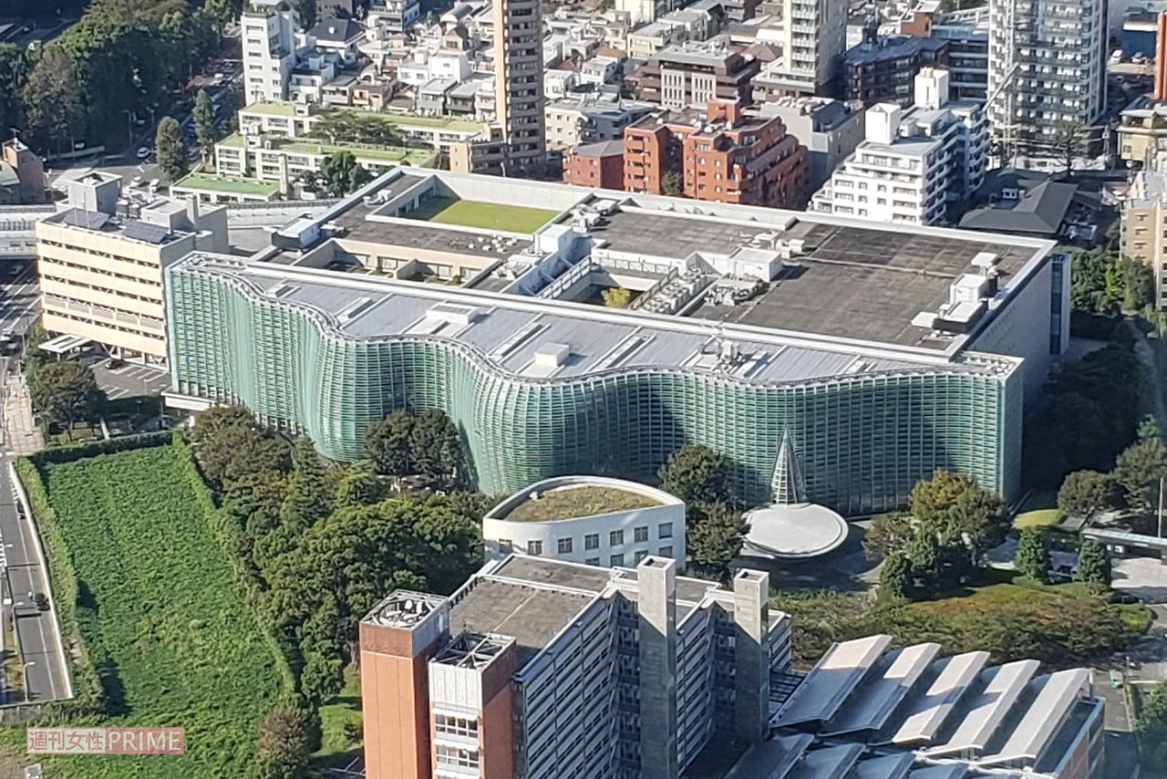 国立新美術館　撮影／編集部