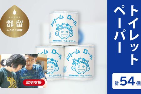 オリジナルトイレットペーパー（54個）