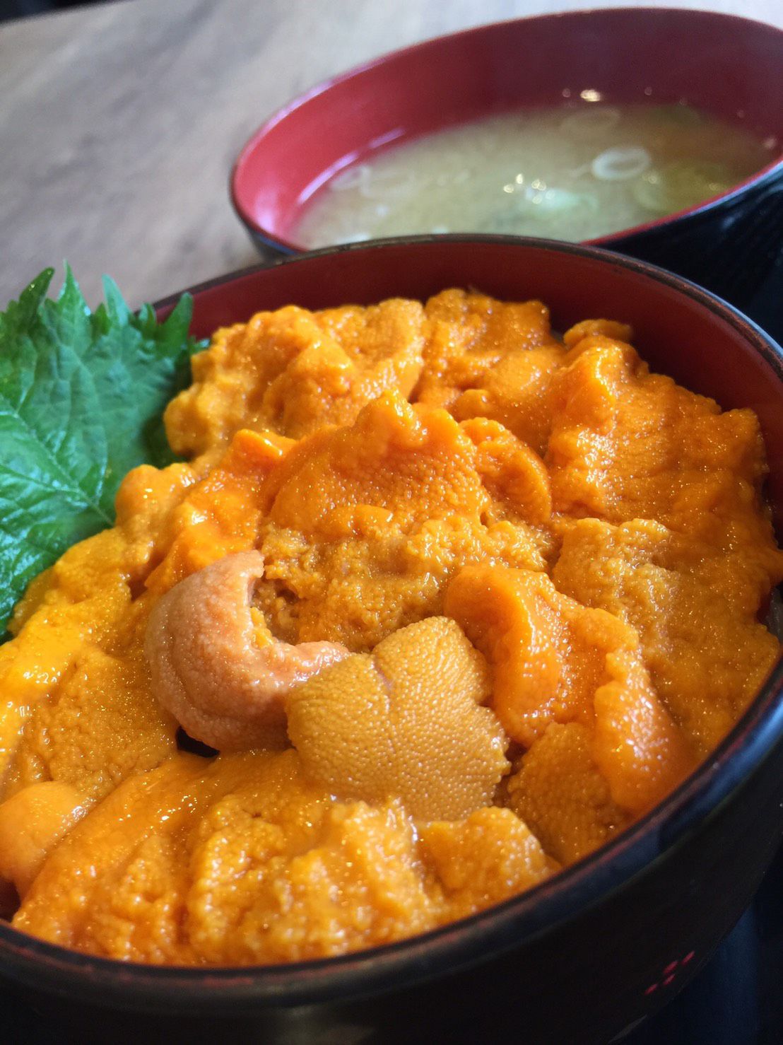 道民の誇り、それは新鮮な海産物！　＃北海道　＃二条市場大磯のウニ丼　