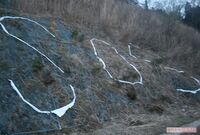 SNSは災害時の「ライフライン」or「デマ拡声器」? 誤情報を見破るための秘訣