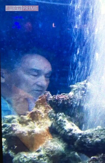 自宅の水槽に映ったジャニー喜多川氏の姿。このあと……（田中斗希提供）
