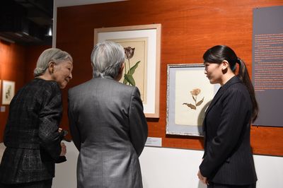 上皇ご夫妻を自身が勤務する博物館で案内される眞子さま（'17年12月）