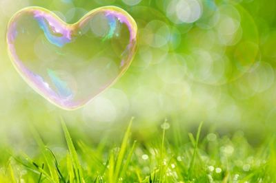 【心理診断】選んだ犬でわかる、あなたの「異世界」住人度