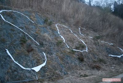 SNSは災害時の「ライフライン」or「デマ拡声器」？  誤情報を見破るための秘訣